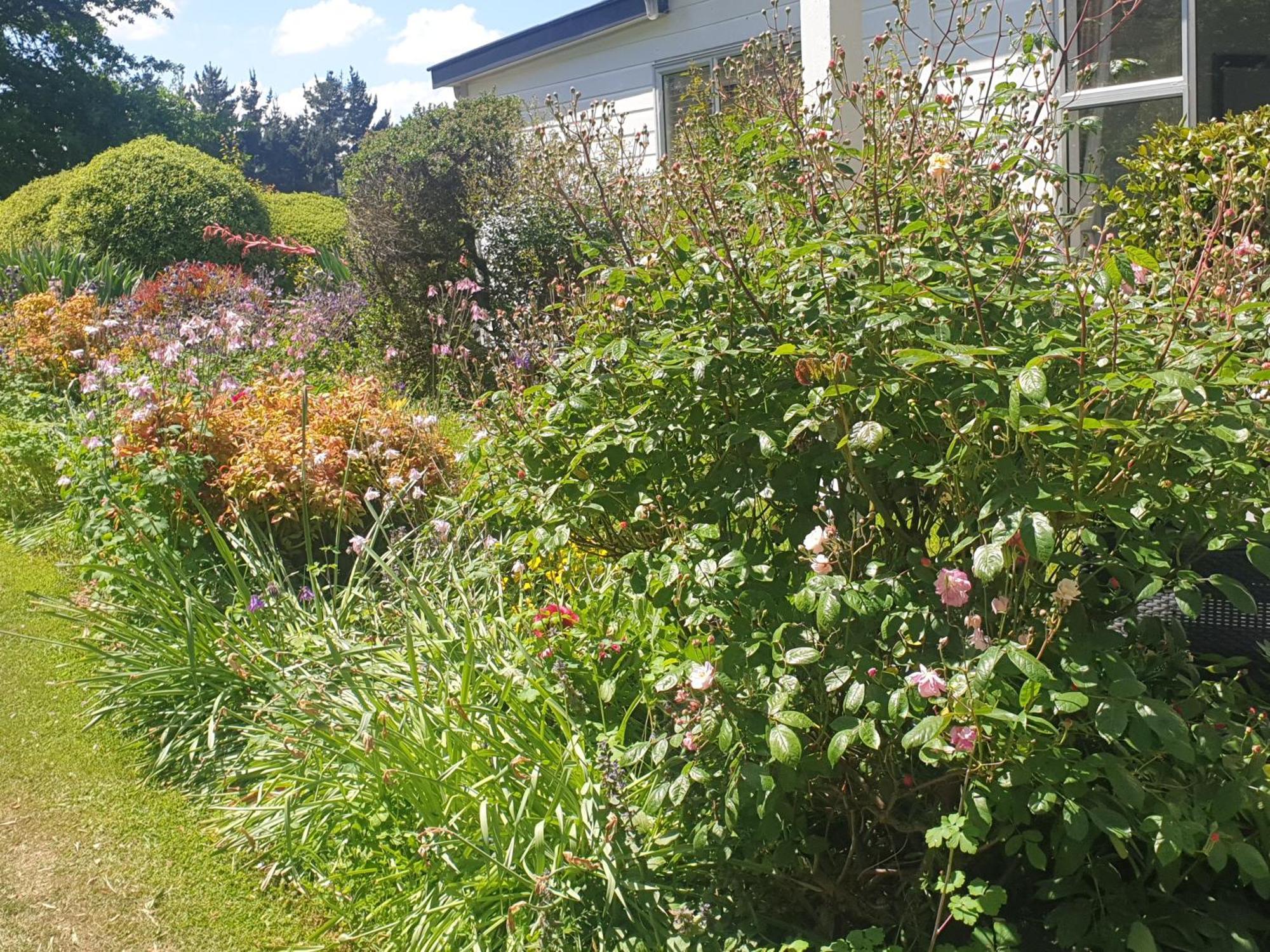 Windhaven Bed & Breakfast Duntroon Exterior foto